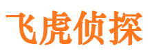 临泉市私家侦探